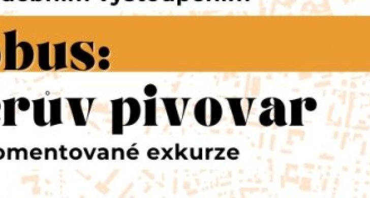 Pěškobus.jpg
